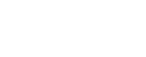 Logo - Flamingo